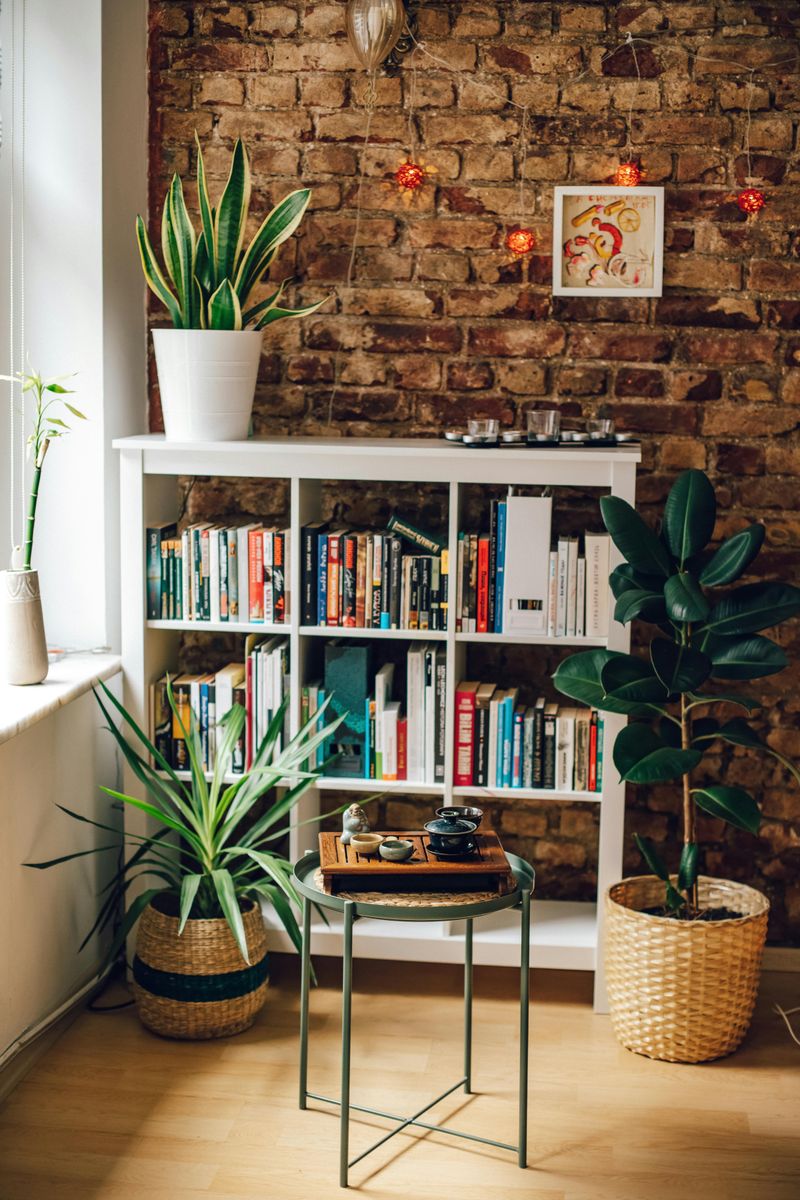 Add Greenery with Indoor Plants