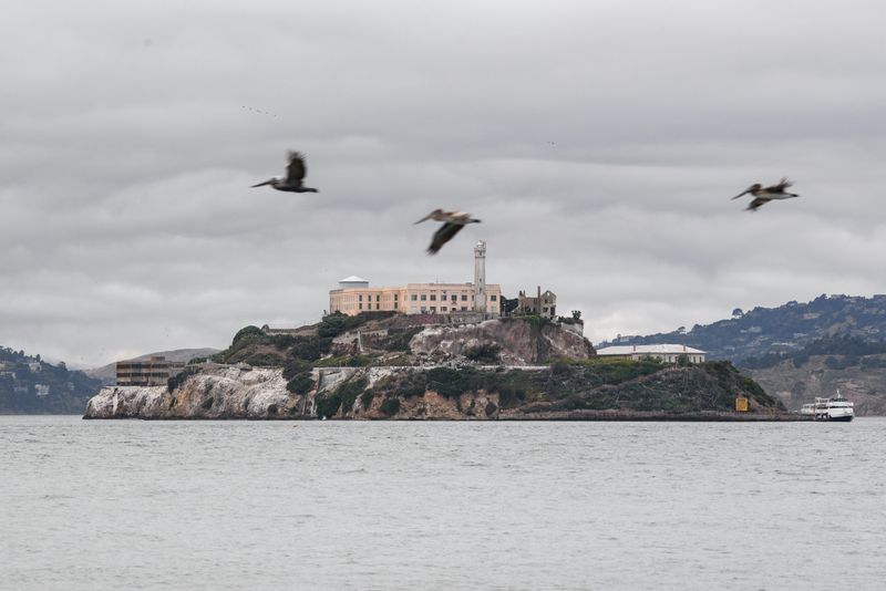 Alcatraz Island