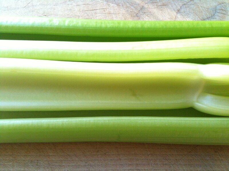 Celery: Crunchy Water Sticks