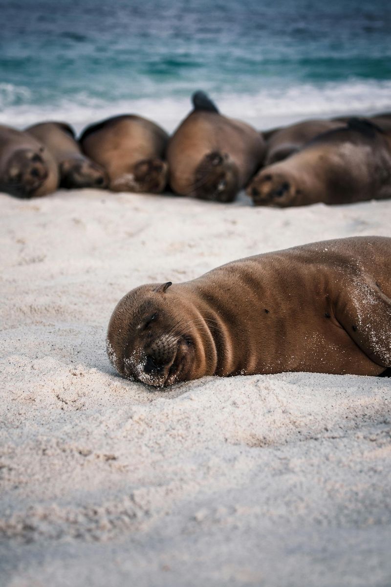 Discovering the Galápagos Islands, Ecuador
