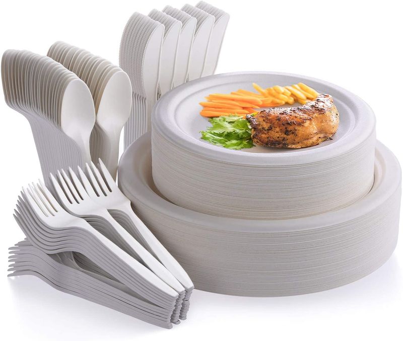 Disposable Plates & Cutlery Bundle (For Cleanup Ease)