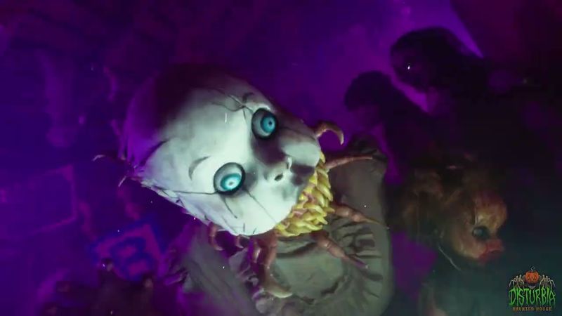 Disturbia Haunted House — Downers Grove