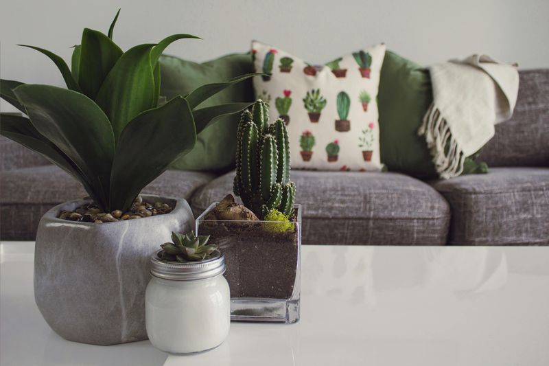 Faux Greenery and Plants