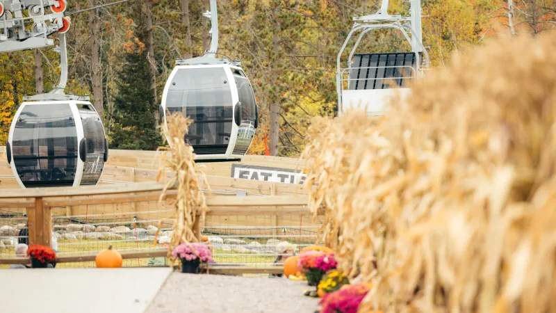 Flaming Leaves Festival