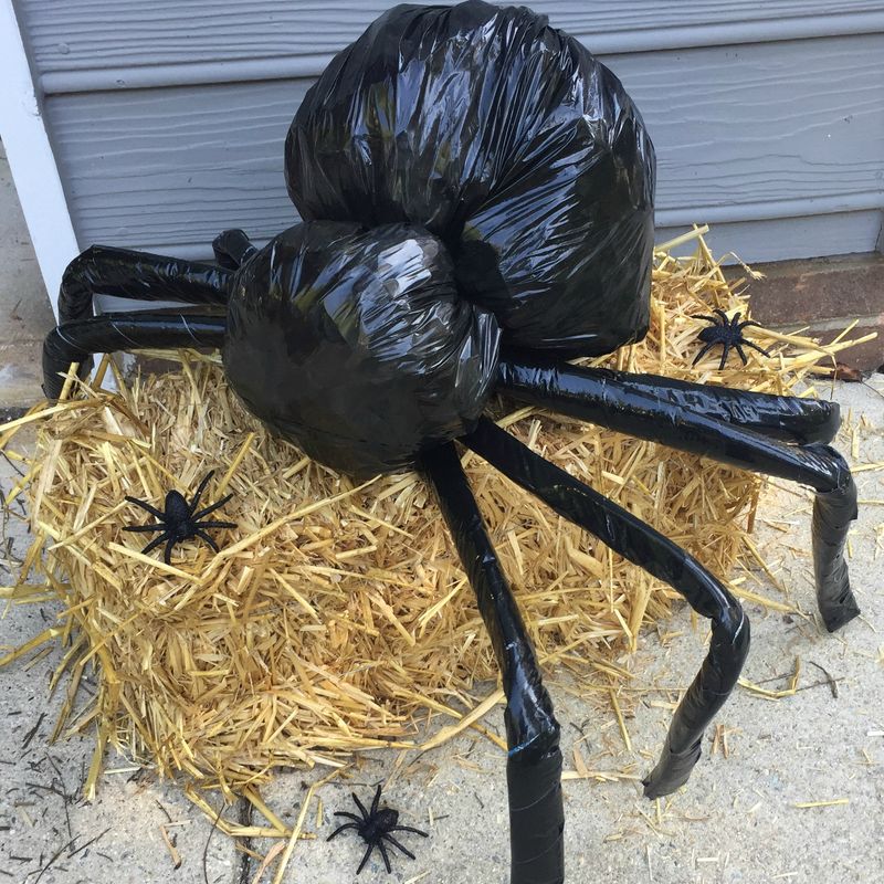 Garbage Bag Spider