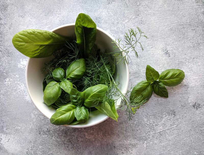 Garden-Fresh Herbs