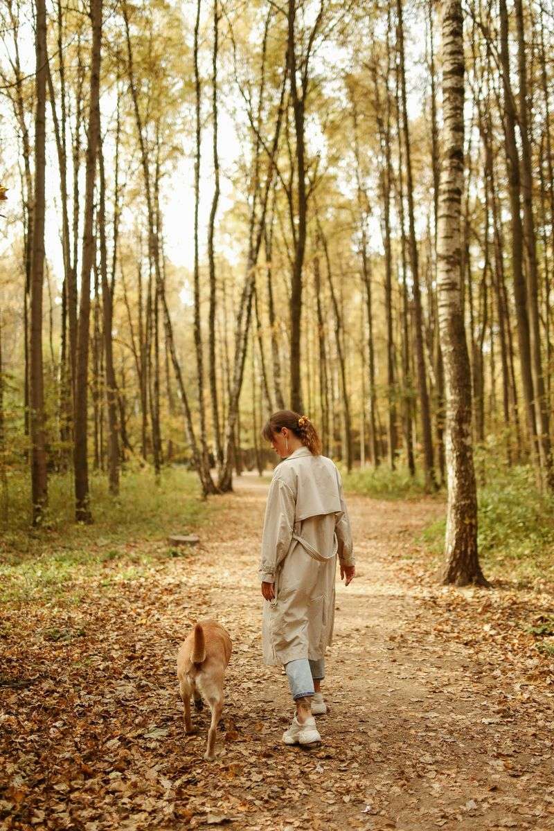 Get Outside for Fresh Air