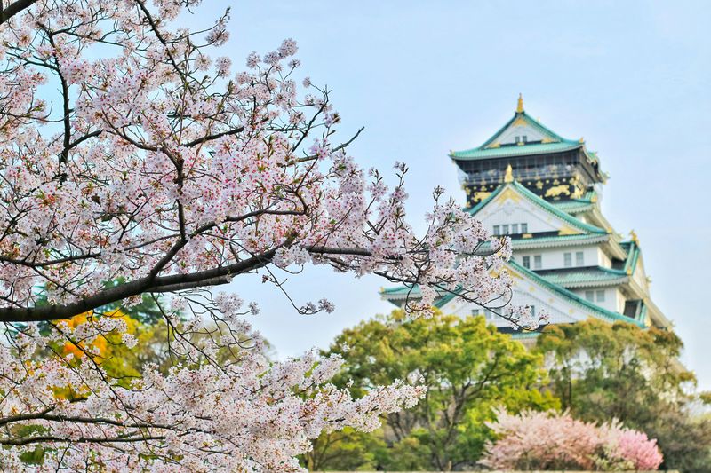 Japan's Efficient Adventure