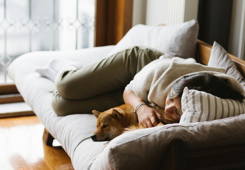 Naps Can Boost Your Memory and Creativity