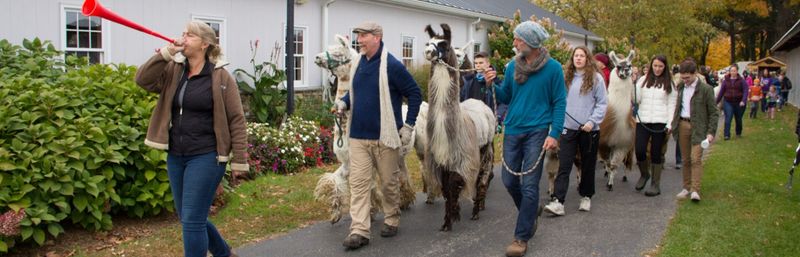 New York State Sheep & Wool Festival