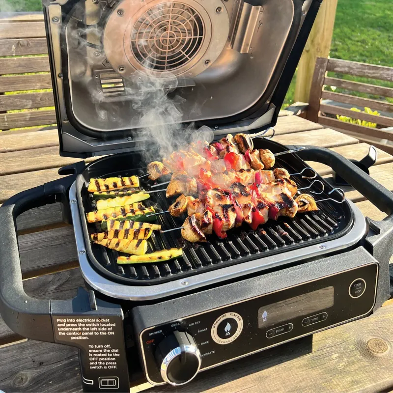 Ninja Woodfire Outdoor Grill