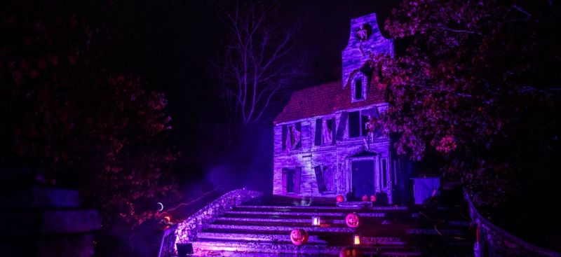 Peace, Love & Pumpkins