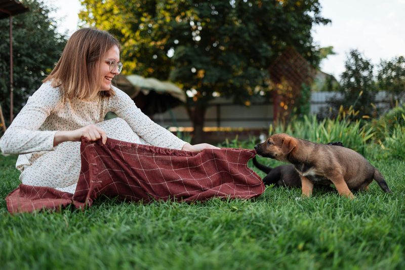 Play with a Pet or Animal
