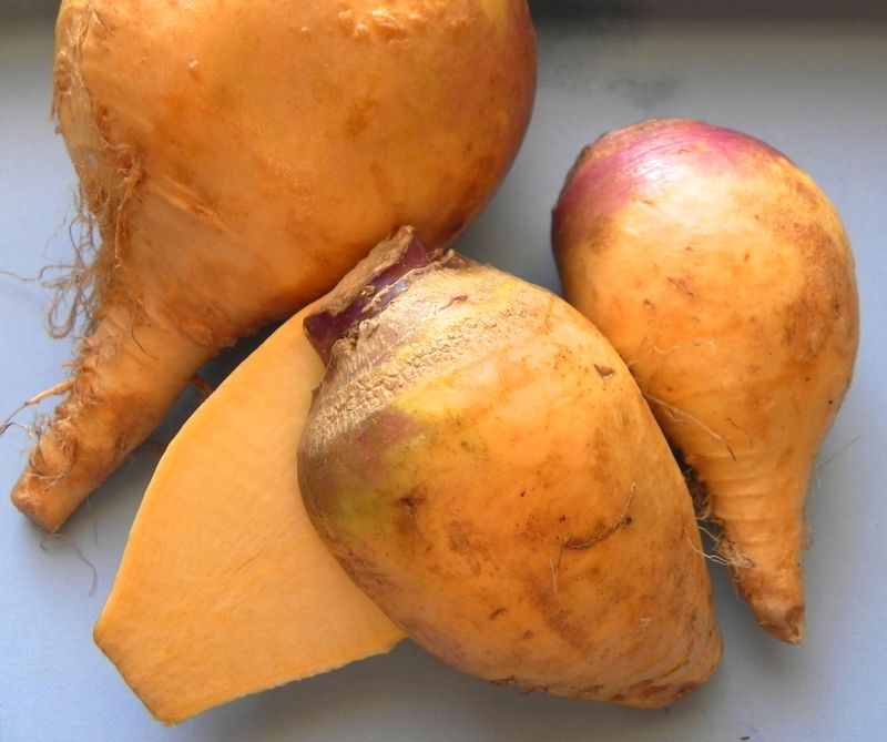 Rutabaga
