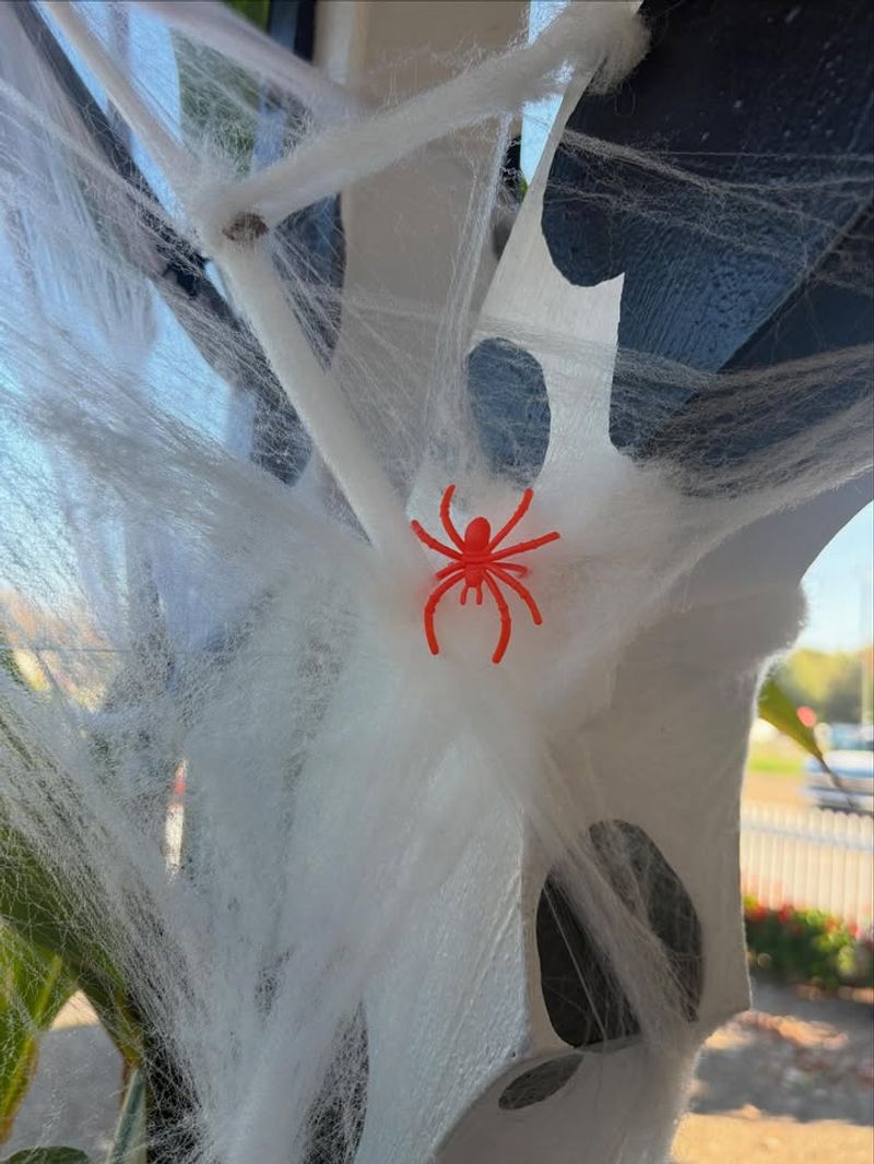 Spider Web Cotton and Plastic Spiders