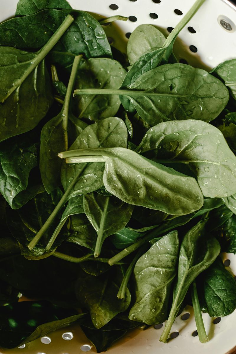 Spinach: The Leafy Hydration Powerhouse