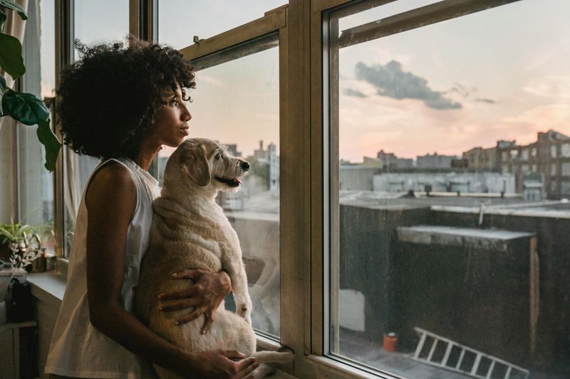 Surprising Your Partner With a Pet