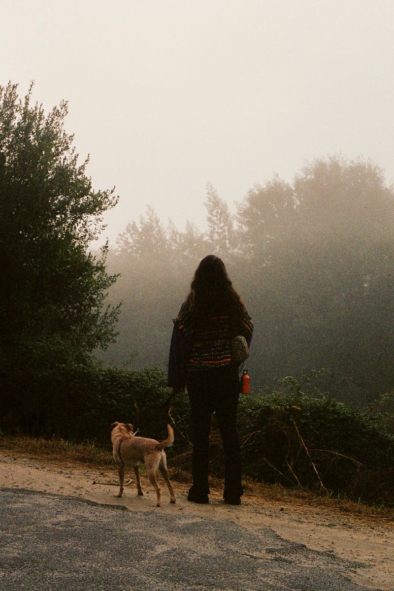 Take Short Nature Breaks or Walk Outside