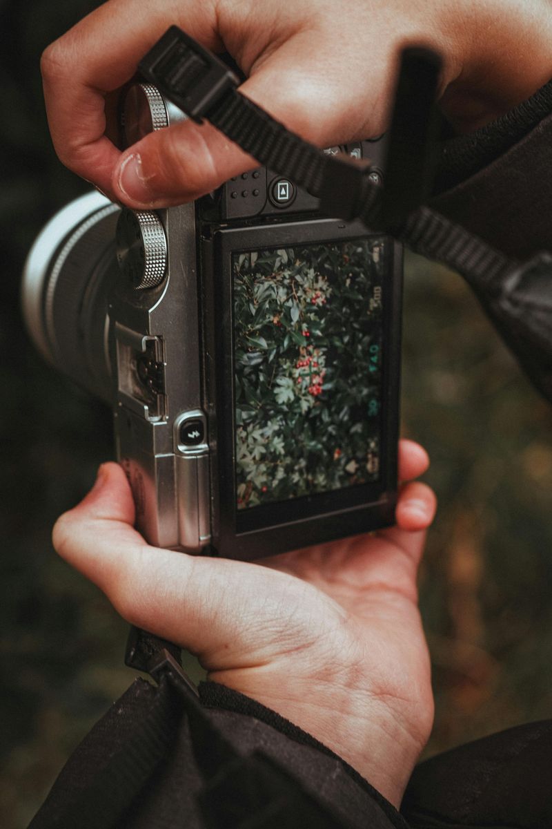 Take a Photo Walk and Capture Autumn Scenes Together