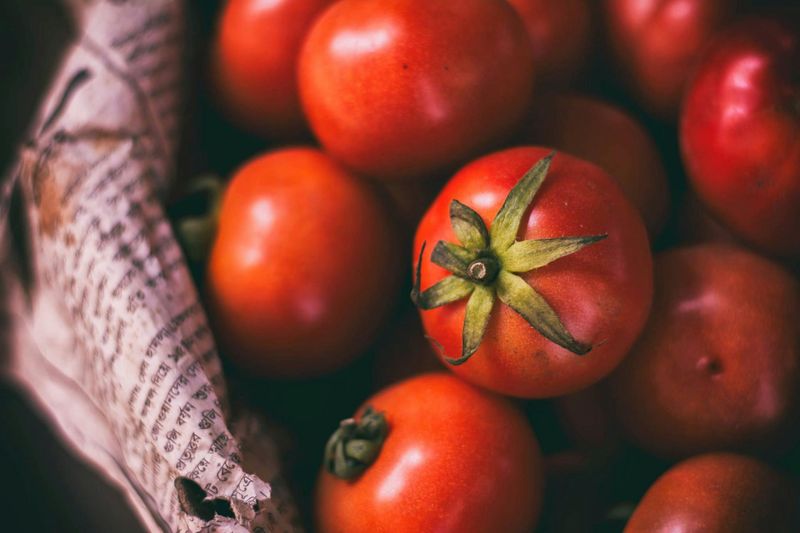 Tomatoes: Juicy Red Hydrators