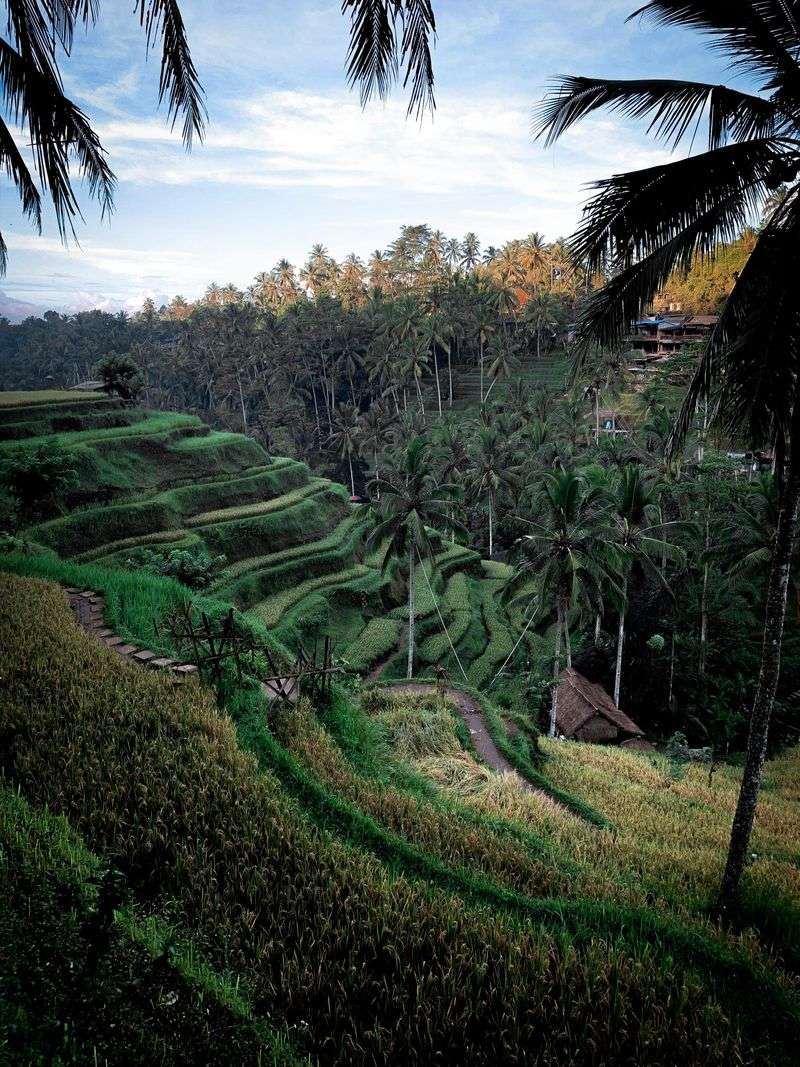 Ubud, Bali