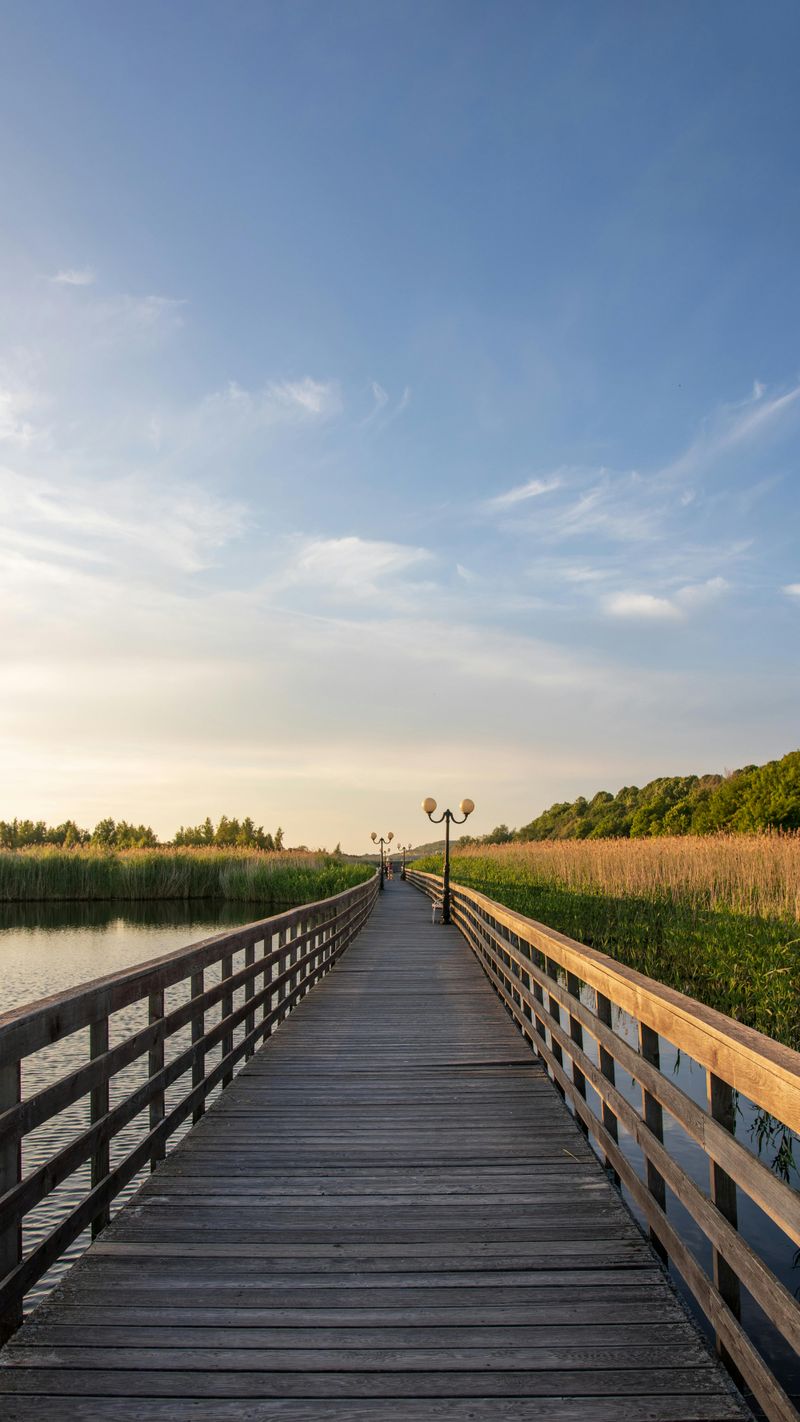 Unplug in a Nature Reserve or Wildlife Refuge for the Day