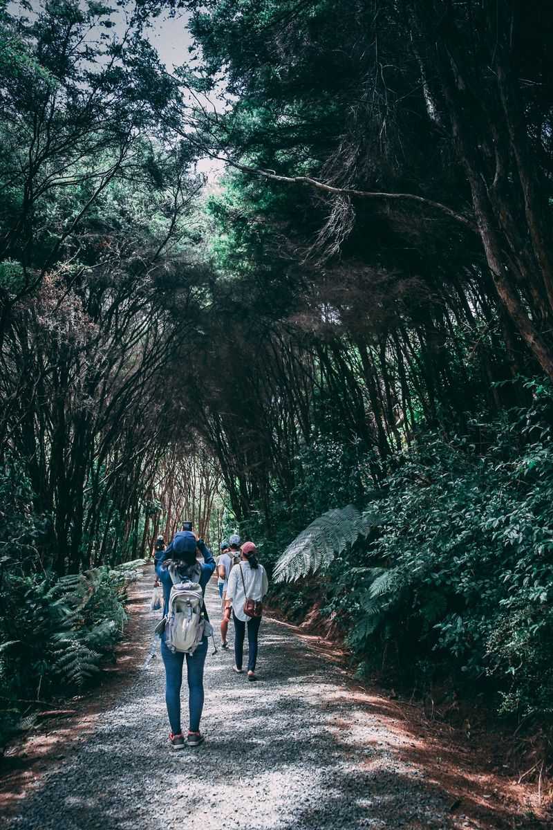 Visit a Nearby State or Regional Park for a Hike or Nature Walk