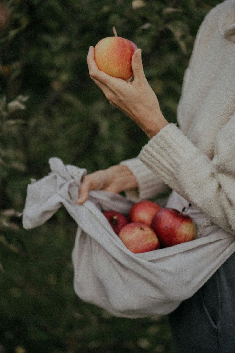 Visit an Orchard to Pick Apples Then Bake Something Together