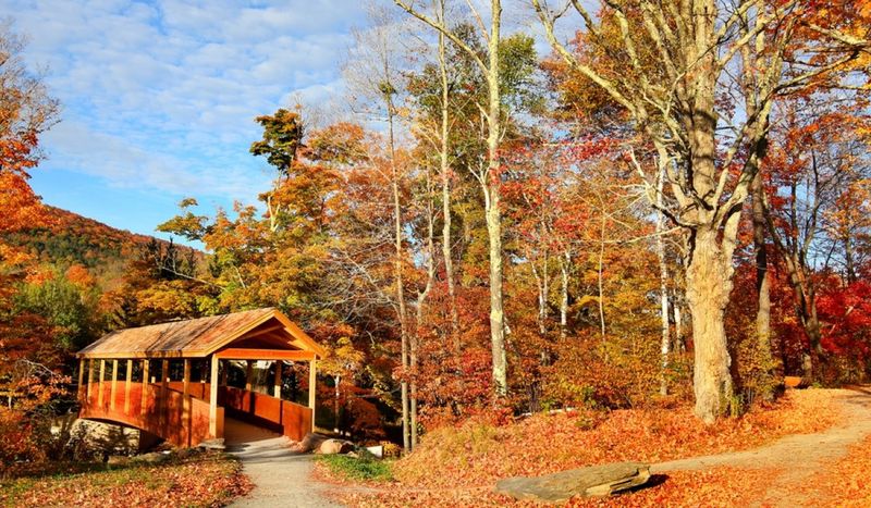 Windham Annual Autumn Affair