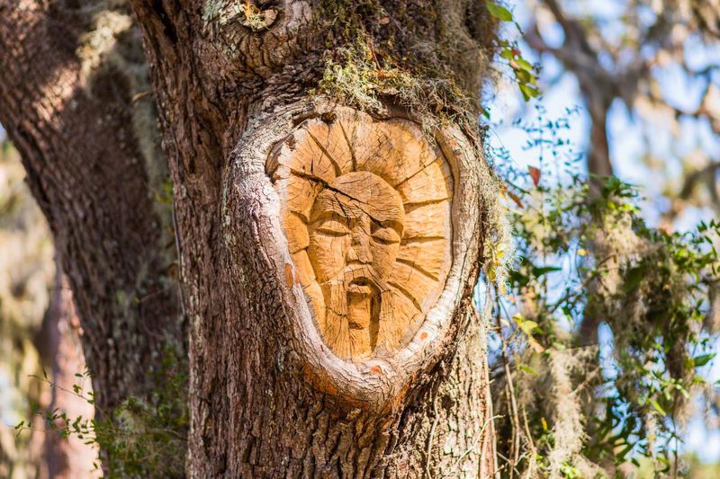 St. Simons Island's Tree Spirit Guardians