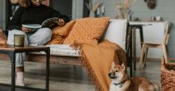 11 Affordable Ways to Refresh Your Space for Fall