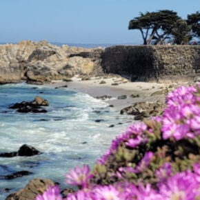 7 California Beach Towns Locals Want Off TikTok