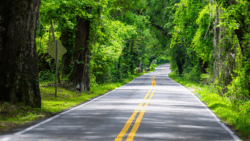 8 Florida Scenic Drives That Feel Like a Vacation Before You Even Arrive