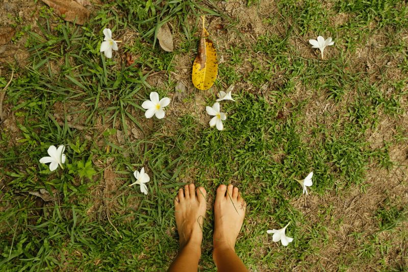 Barefoot Earth Walking