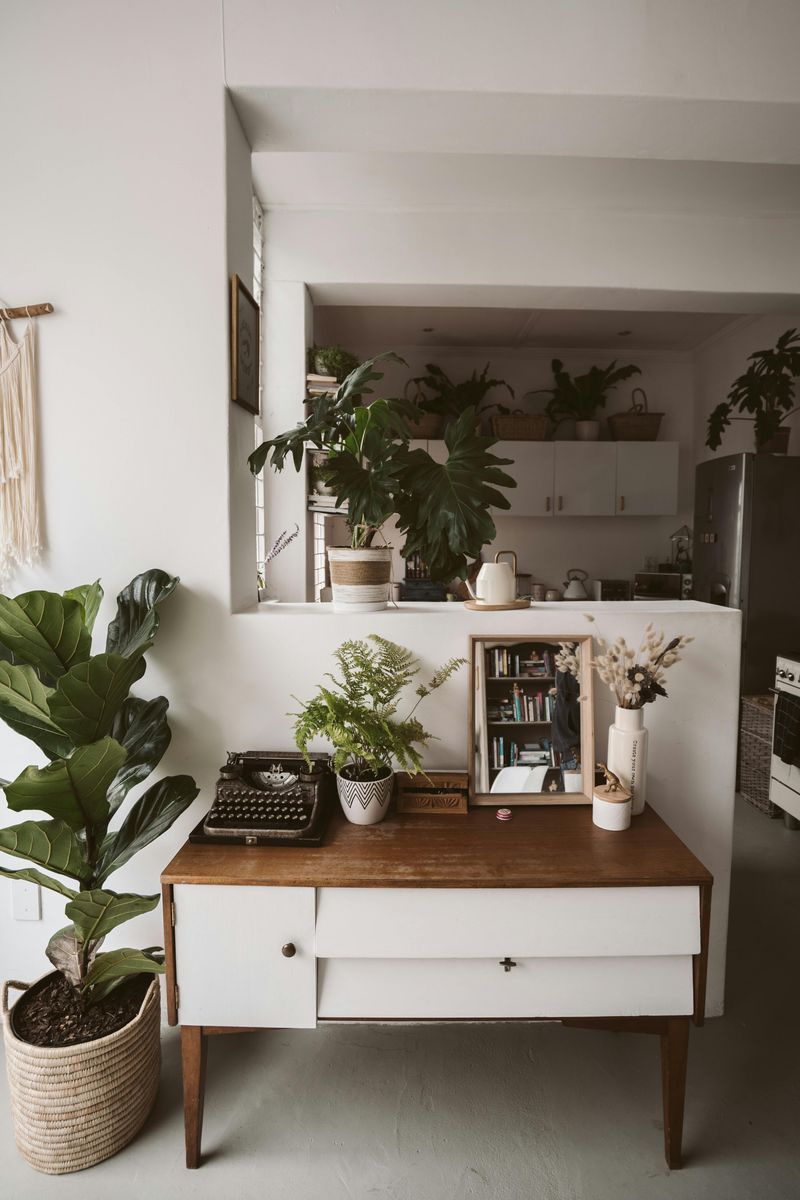 Bring Nature Indoors with Plants