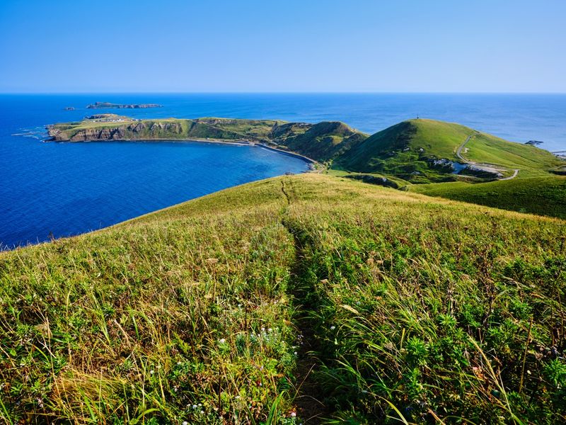 Hokkaido Wilderness, Japan