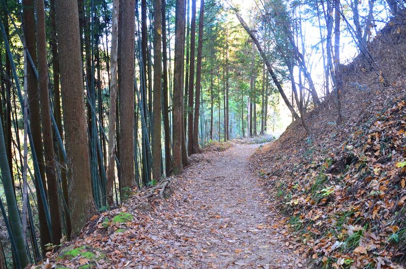 Nakasendō Trail, Japan