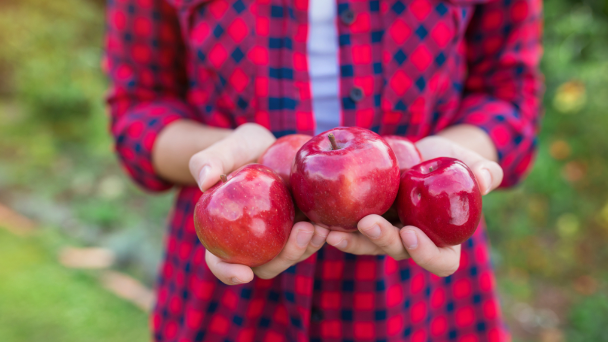 Remember These? 7 Foods That Were Normal in the '80s but Banned Today