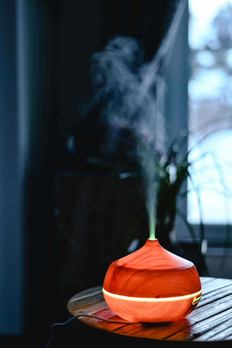 Use a Humidifier Indoors