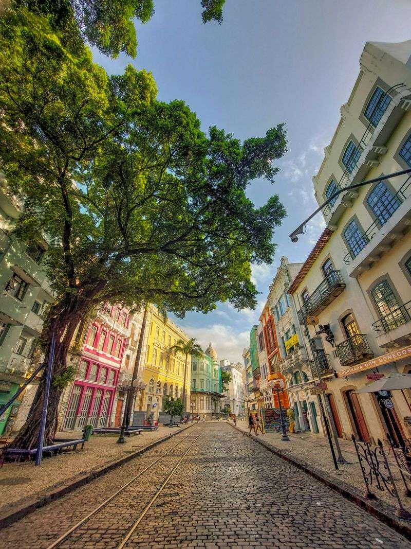 You Reconnect with Local History and Culture