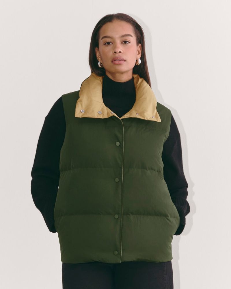 Everlane Puffer Vest
