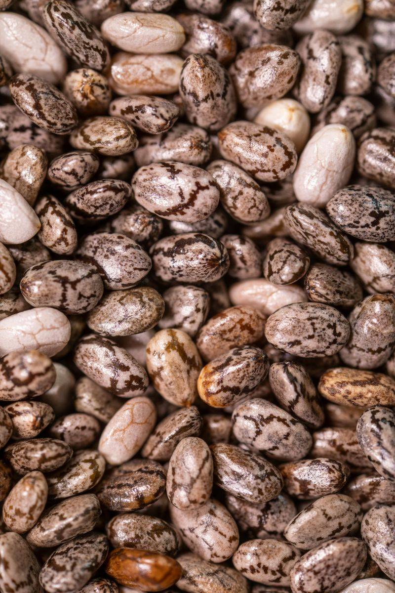 Beans and Lentils – Excellent sources of fiber and plant protein that help regulate blood sugar and digestion