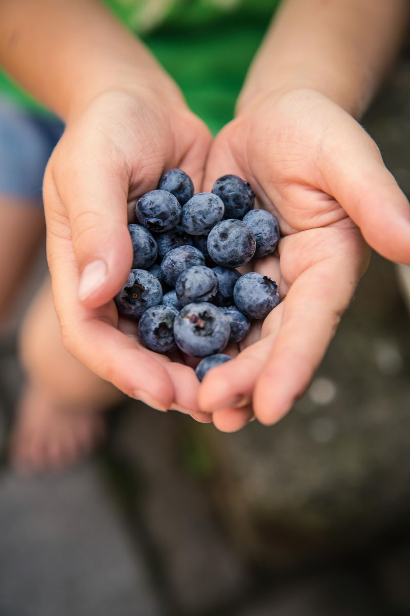 Blueberries – Rich in antioxidants that support brain health and help reduce oxidative stress