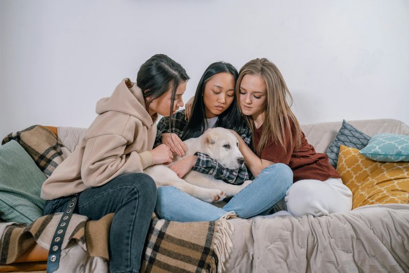 Build a Strong Support System