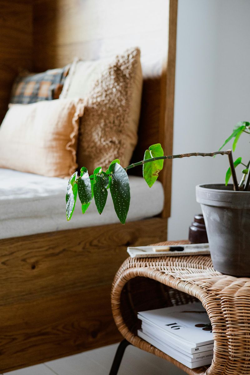 Earthy Color Palettes