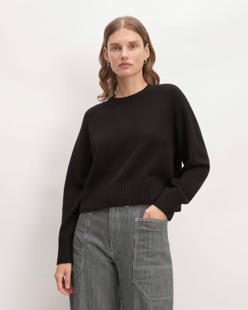 Everlane The Boxy Crew in Cashmere