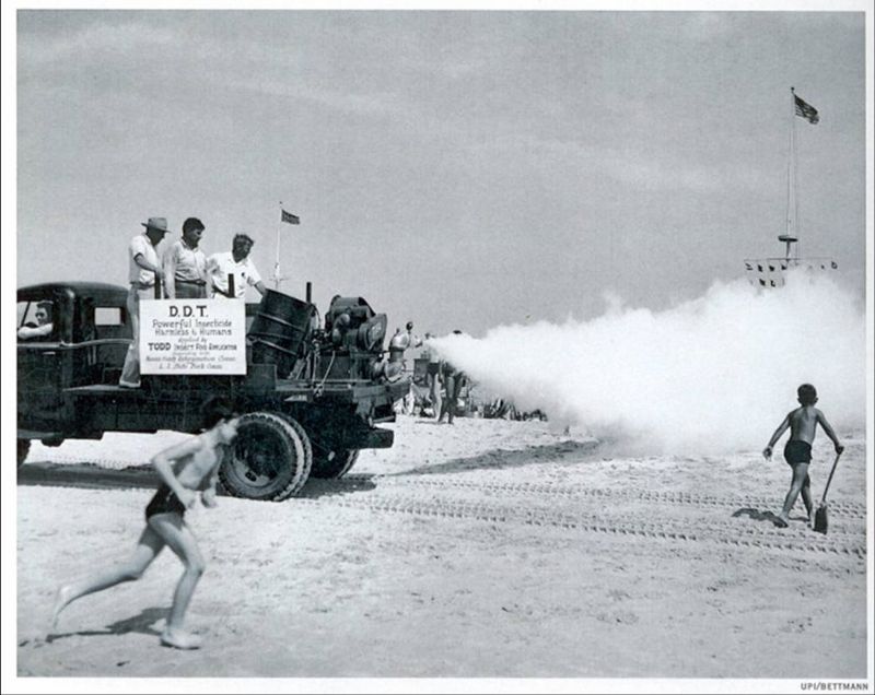 Fogging Trucks Are Fun To Chase