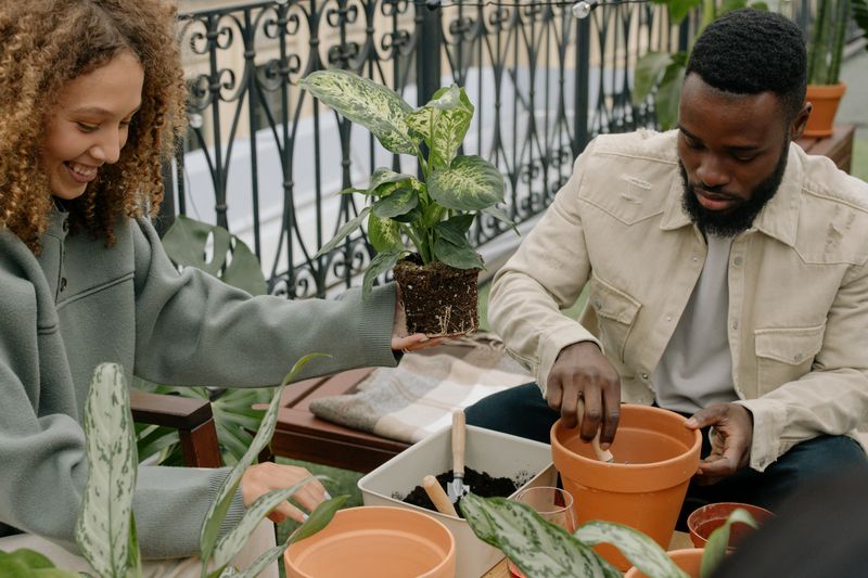 Having Independence and Outside Interests