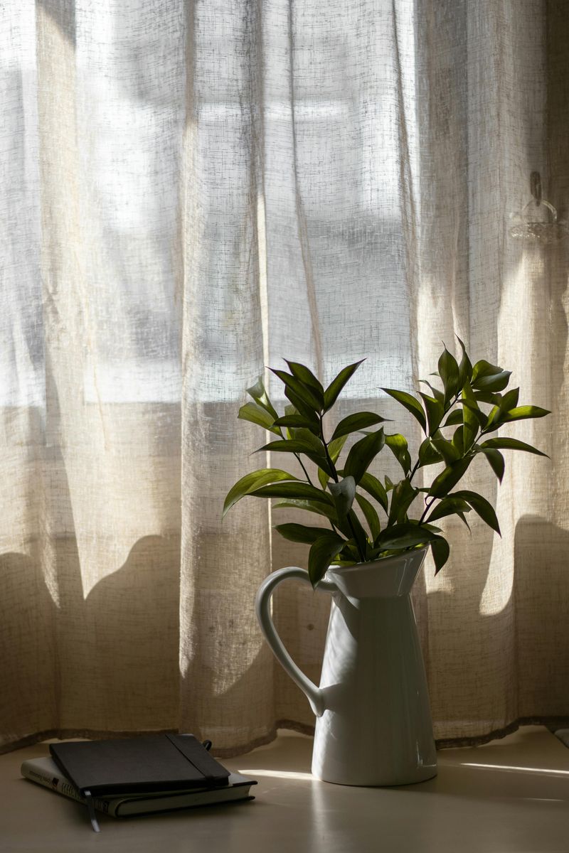 Incorporate Indoor Plants Sparingly