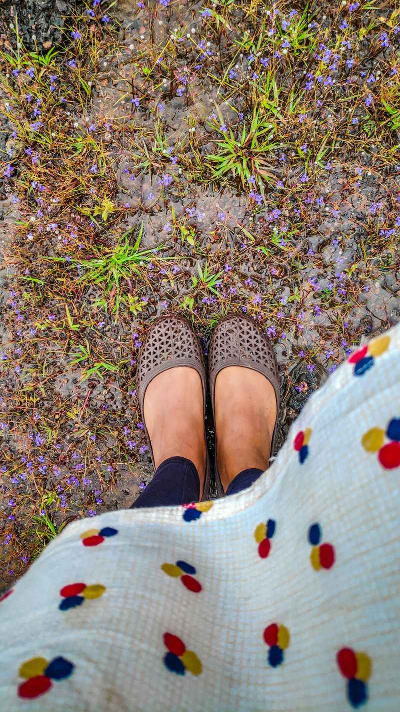 Mesh or Super-Delicate Flats